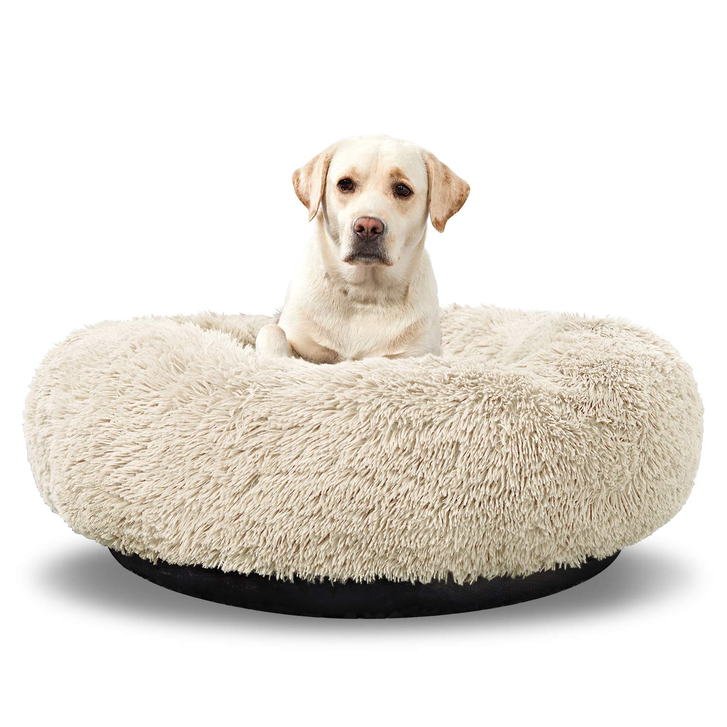 For Dogs