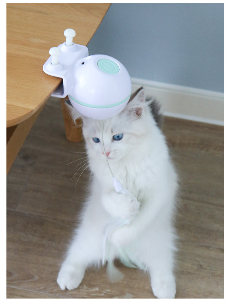 Automatic Smart Pet Toy Ball with USB Electric Teaser Wand (Replaceable)
